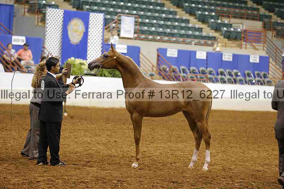 Proof Number 13r12_6227