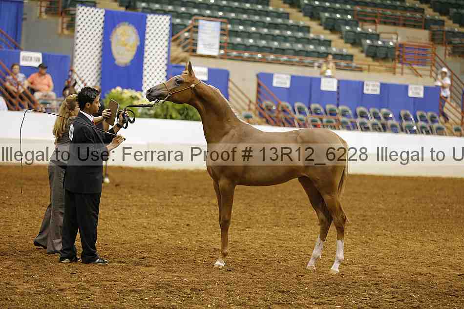 Proof Number 13r12_6228