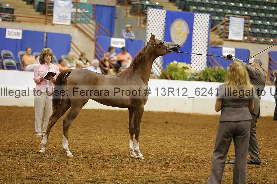 Proof Number 13r12_6241
