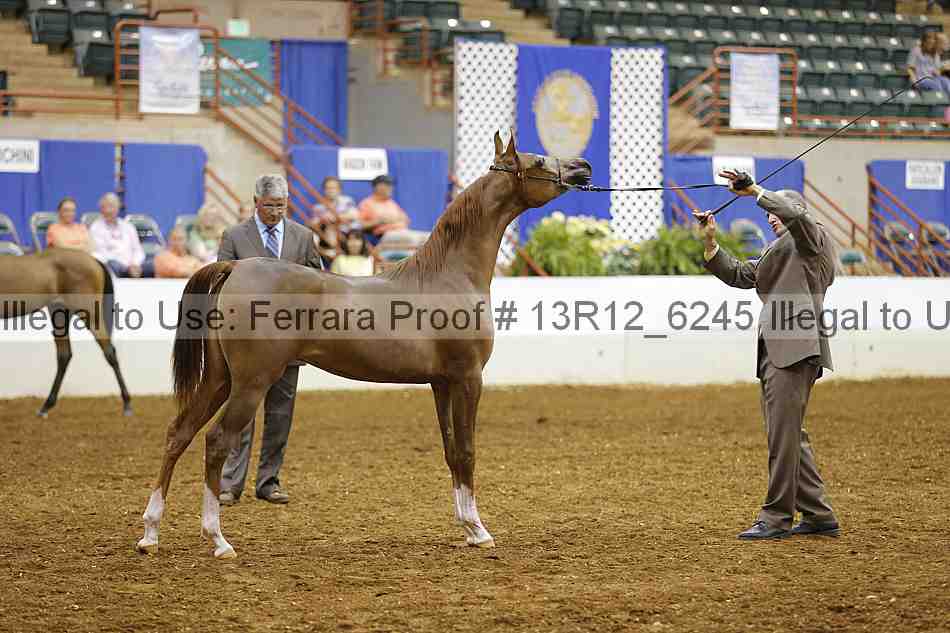 Proof Number 13r12_6245