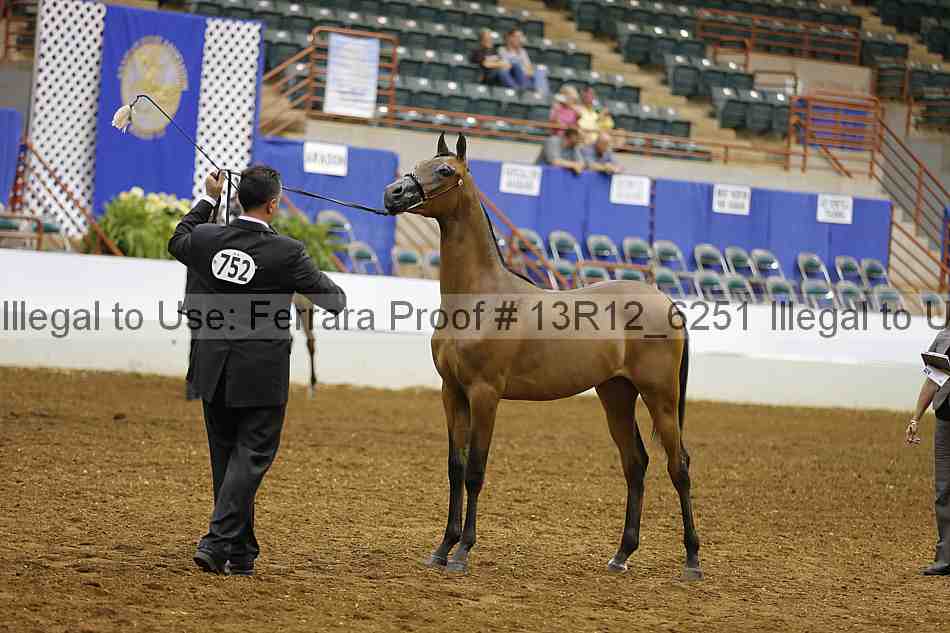 Proof Number 13r12_6251