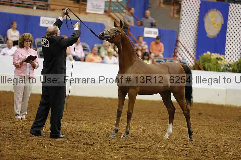 Proof Number 13r12_6254