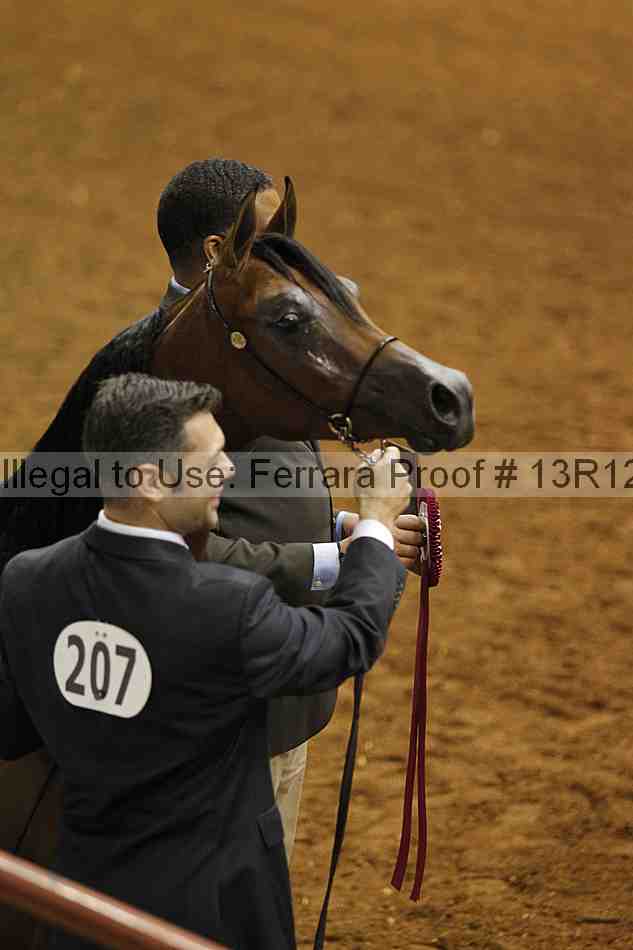 Proof Number 13r12_6266