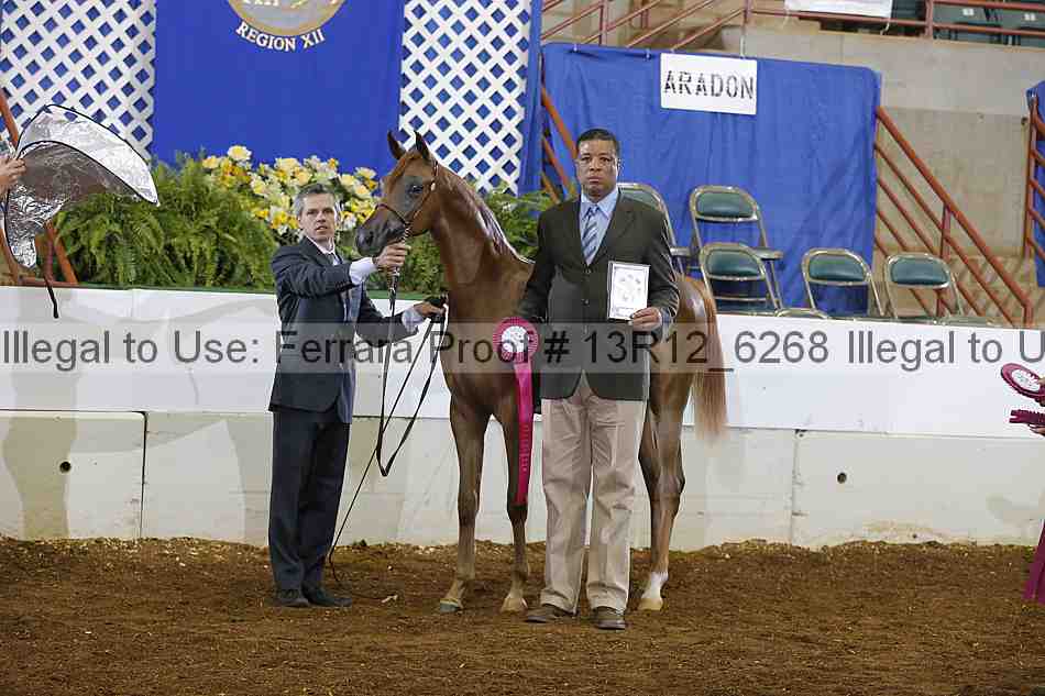 Proof Number 13r12_6268