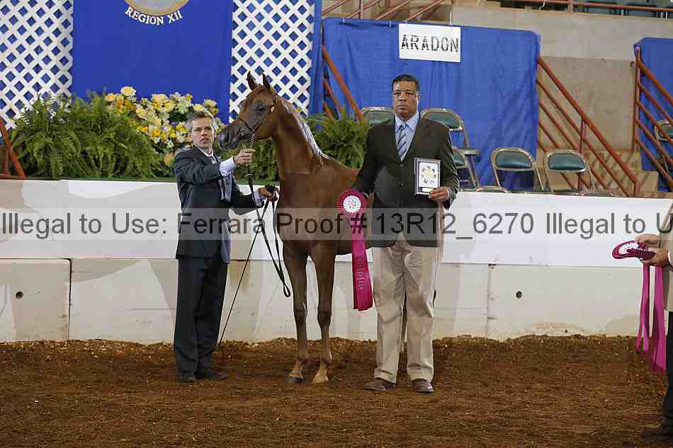 Proof Number 13r12_6270