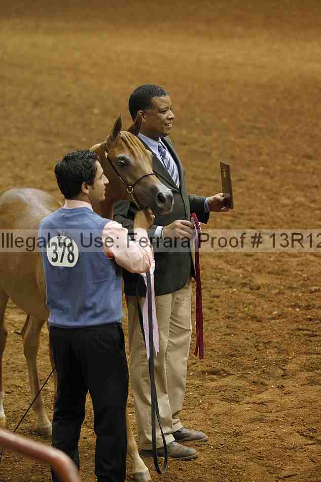 Proof Number 13r12_6272