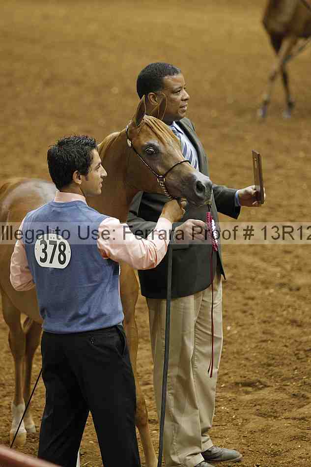 Proof Number 13r12_6274