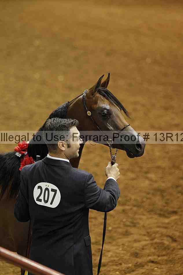 Proof Number 13r12_6280