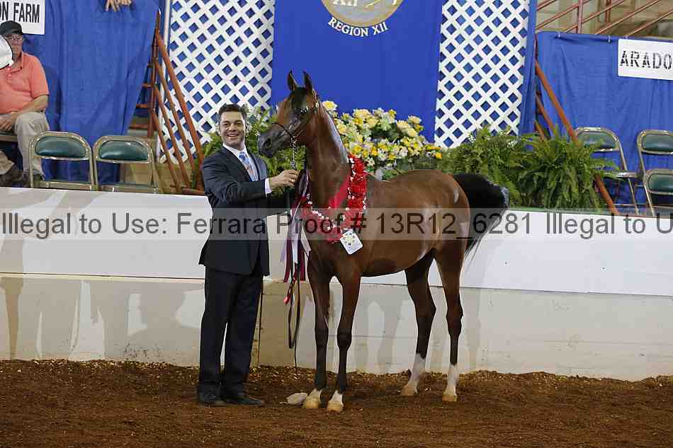 Proof Number 13r12_6281