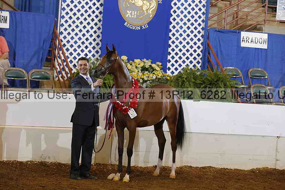 Proof Number 13r12_6282