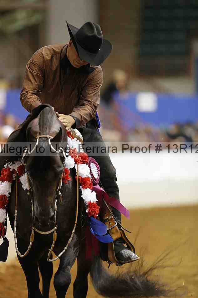Proof Number 13r12_6369