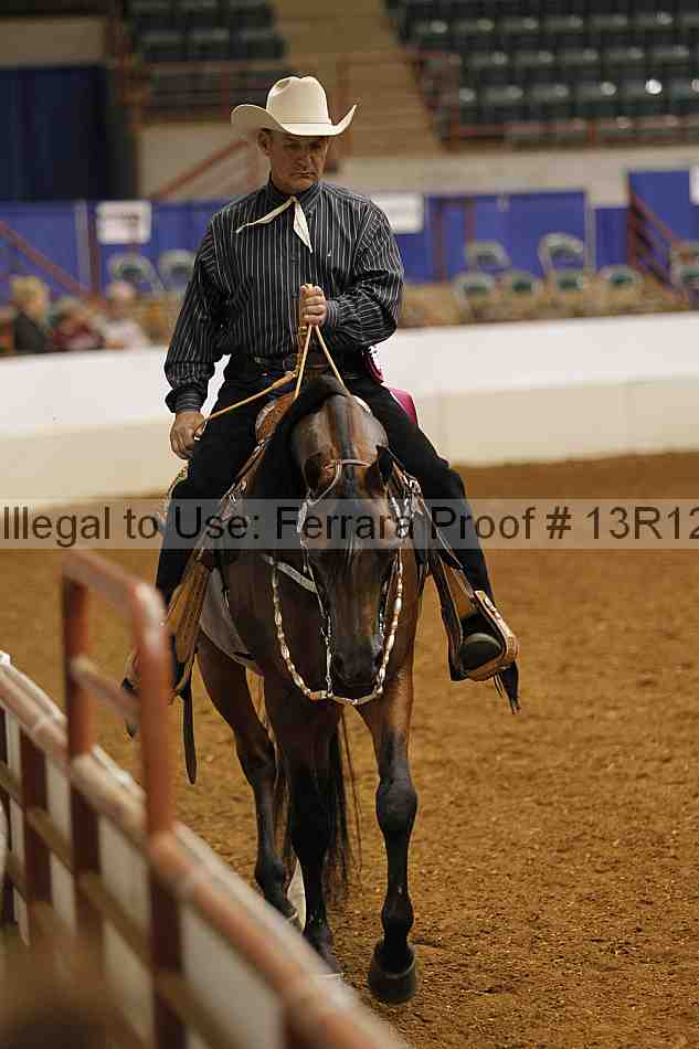 Proof Number 13r12_6381