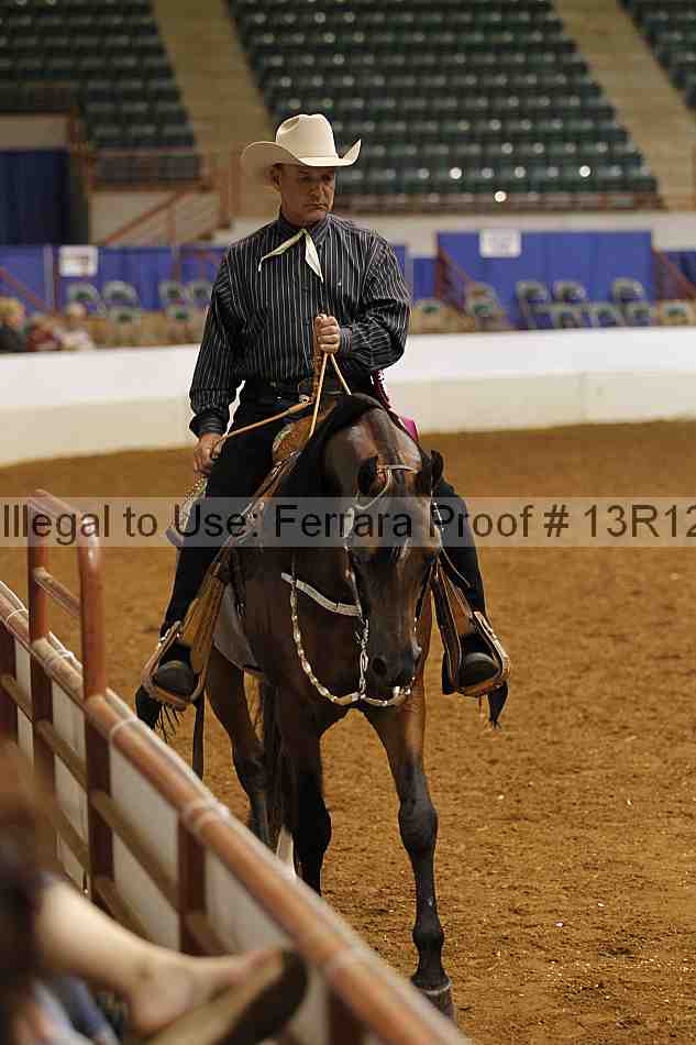 Proof Number 13r12_6383