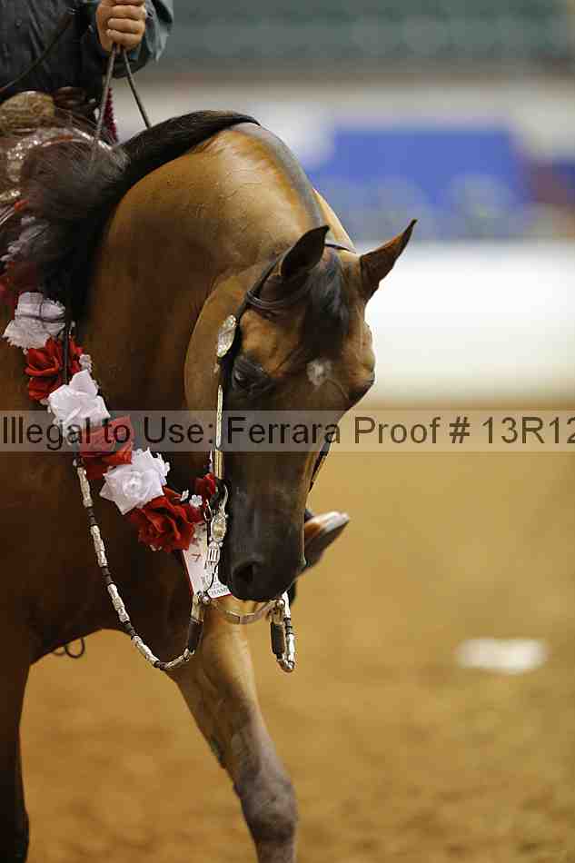 Proof Number 13r12_6392