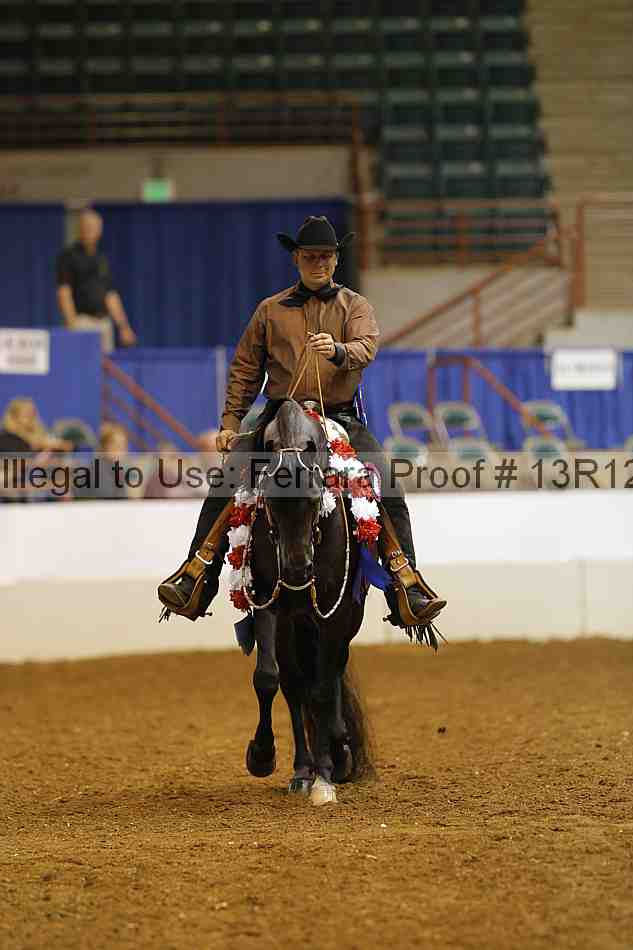 Proof Number 13r12_6396