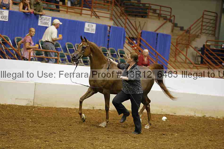 Proof Number 13r12_6463