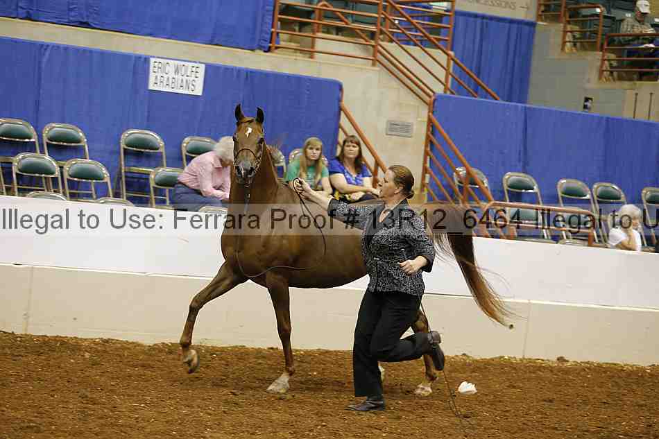 Proof Number 13r12_6464