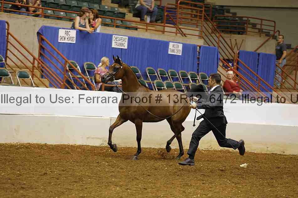 Proof Number 13r12_6472