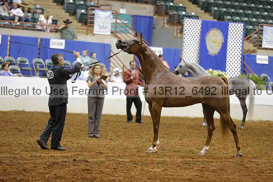 Proof Number 13r12_6492