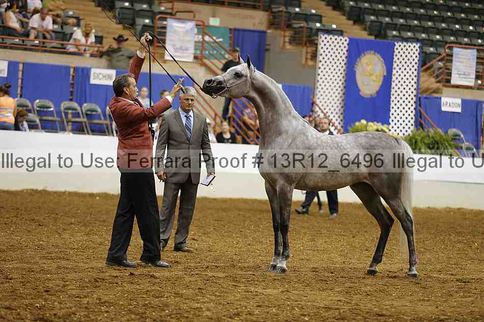 Proof Number 13r12_6496