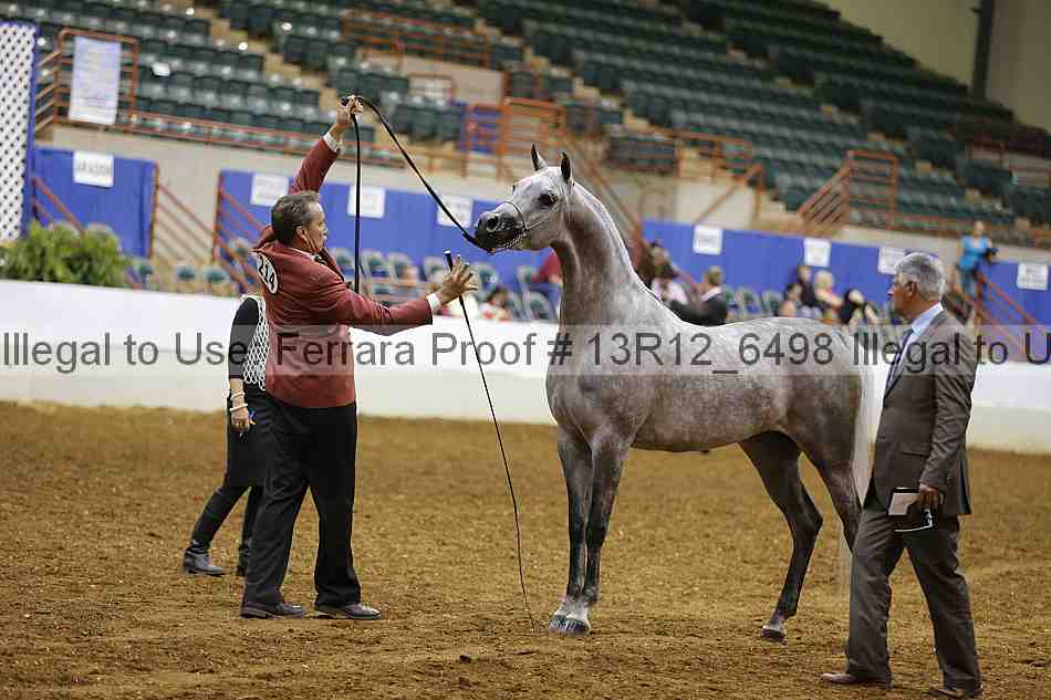 Proof Number 13r12_6498