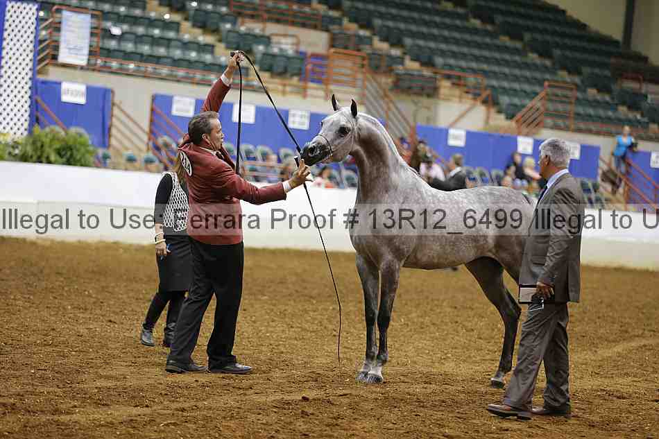 Proof Number 13r12_6499