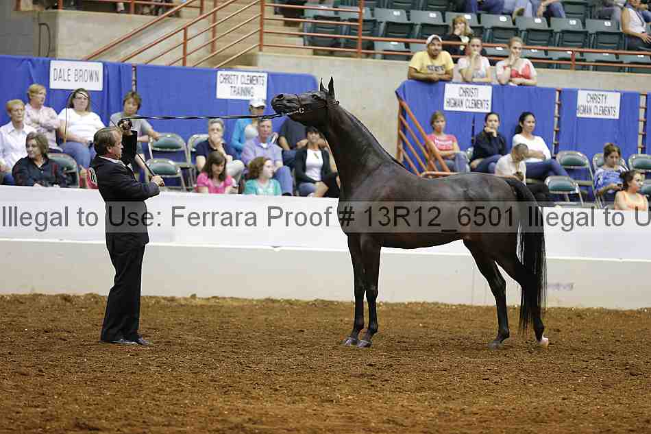 Proof Number 13r12_6501