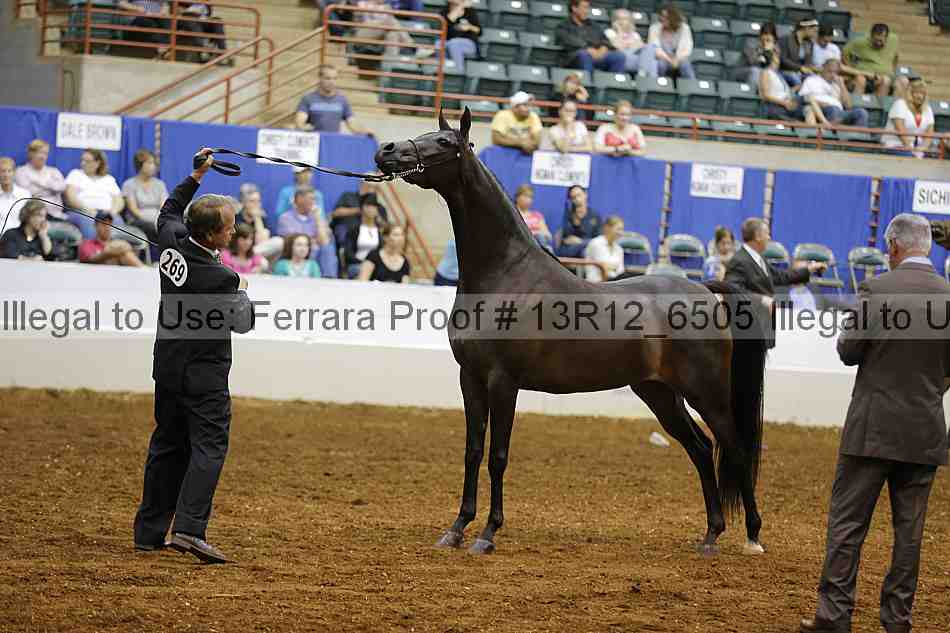 Proof Number 13r12_6505