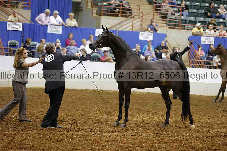 Proof Number 13r12_6506