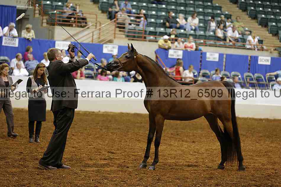 Proof Number 13r12_6509