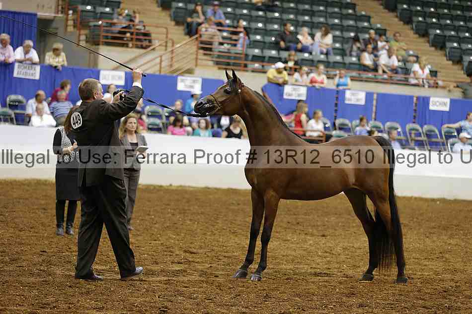 Proof Number 13r12_6510