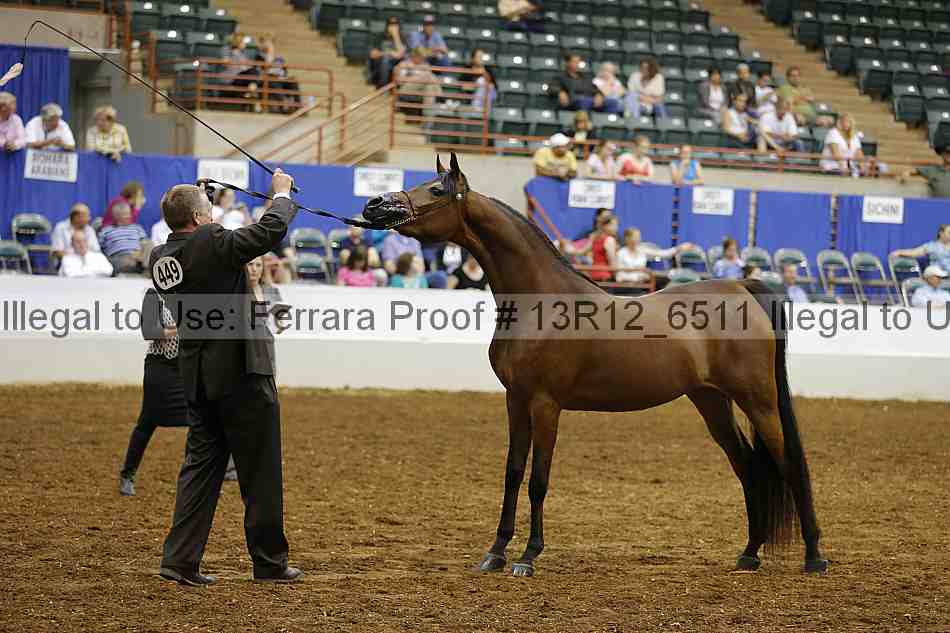 Proof Number 13r12_6511