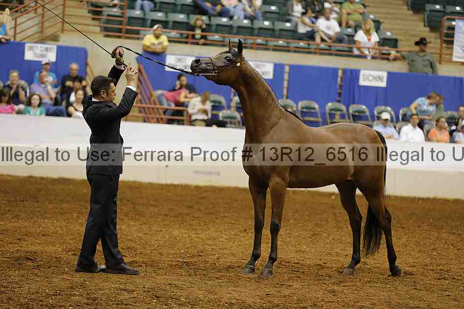 Proof Number 13r12_6516