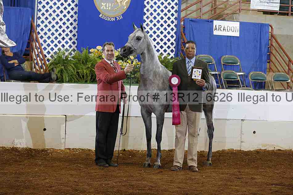 Proof Number 13r12_6526