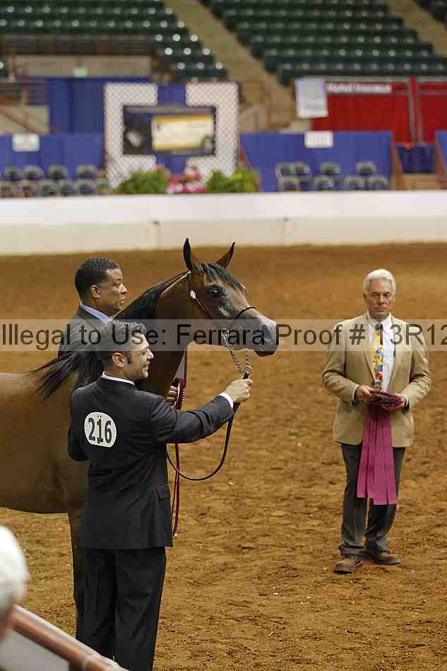Proof Number 13r12_6533