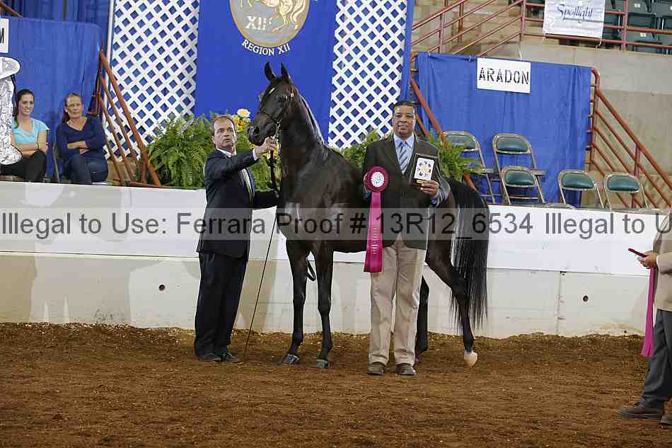 Proof Number 13r12_6534