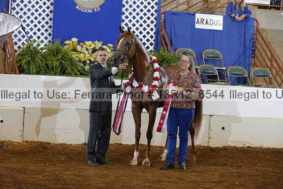 Proof Number 13r12_6544