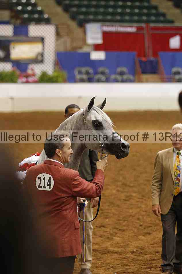 Proof Number 13r12_6559