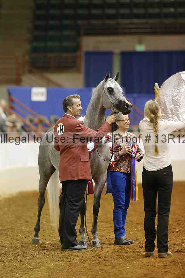 Proof Number 13r12_6563