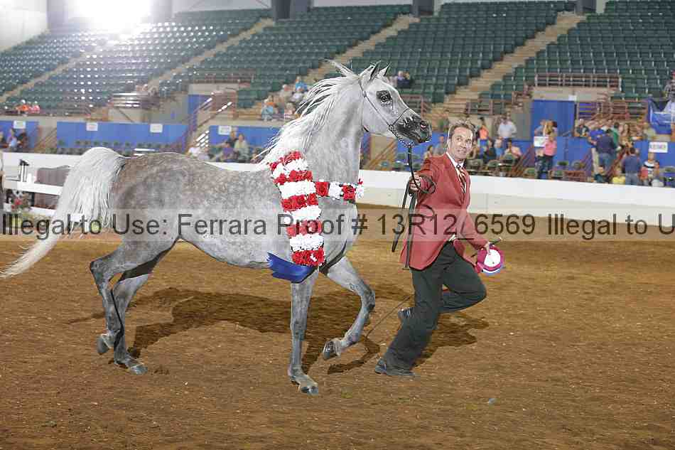 Proof Number 13r12_6569
