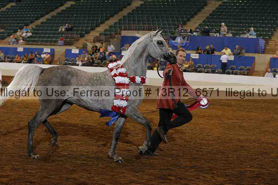 Proof Number 13r12_6571