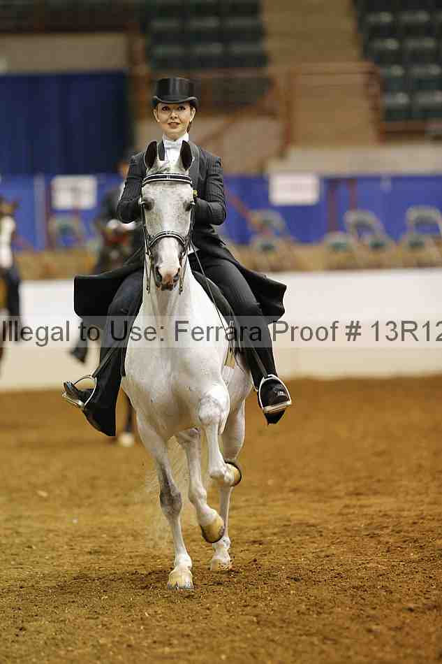 Proof Number 13r12_6602