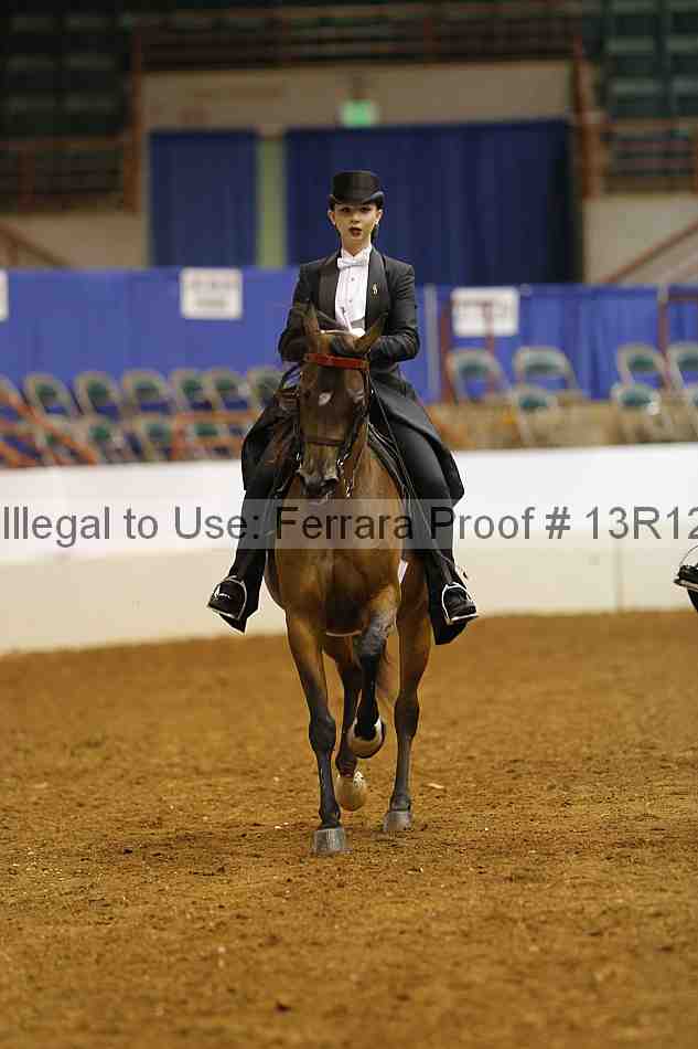 Proof Number 13r12_6603