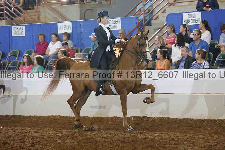 Proof Number 13r12_6607