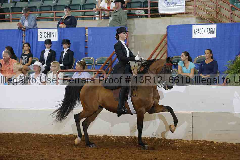 Proof Number 13r12_6610