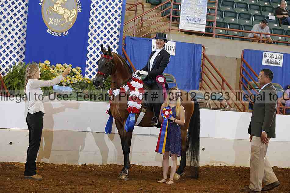 Proof Number 13r12_6623