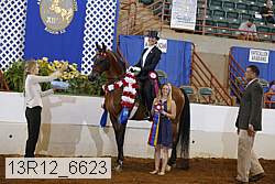 13r12_6623 thumbnail