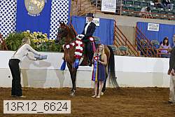 13r12_6624 thumbnail
