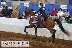 13r12_6626 thumbnail