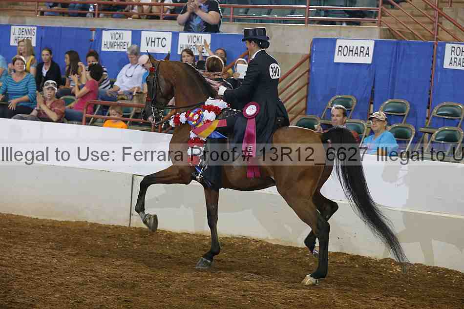 Proof Number 13r12_6627